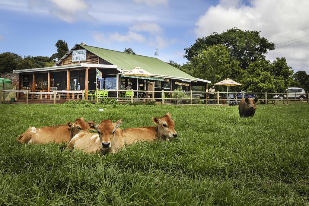 Natures Way Farm Cottage The Crags المظهر الخارجي الصورة